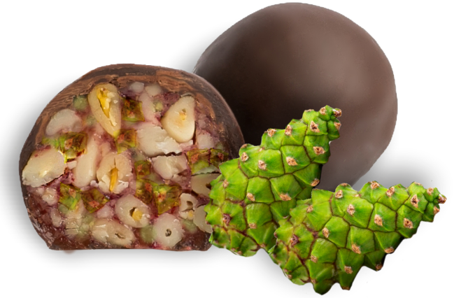Конфеты Кедровый грильяж с сосновой шишкой в шоколаде 120гр, Томск Территория тайги