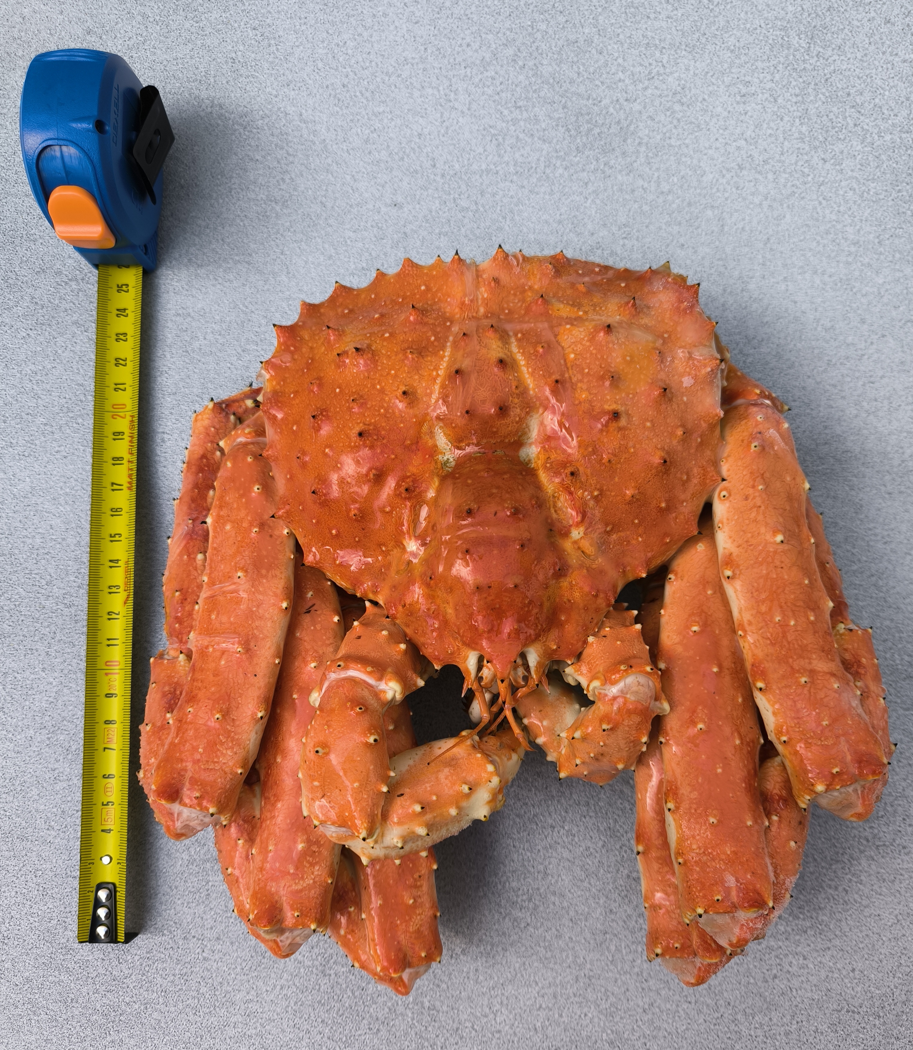 Краб камчатский королевский, варено-мороженый, весовой