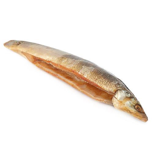 Омуль красная рыба или нет - все о рыбе омуле: свойства, виды, где встречается
