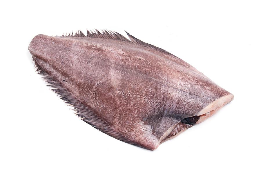 Как выглядит палтус рыба фото с головой?